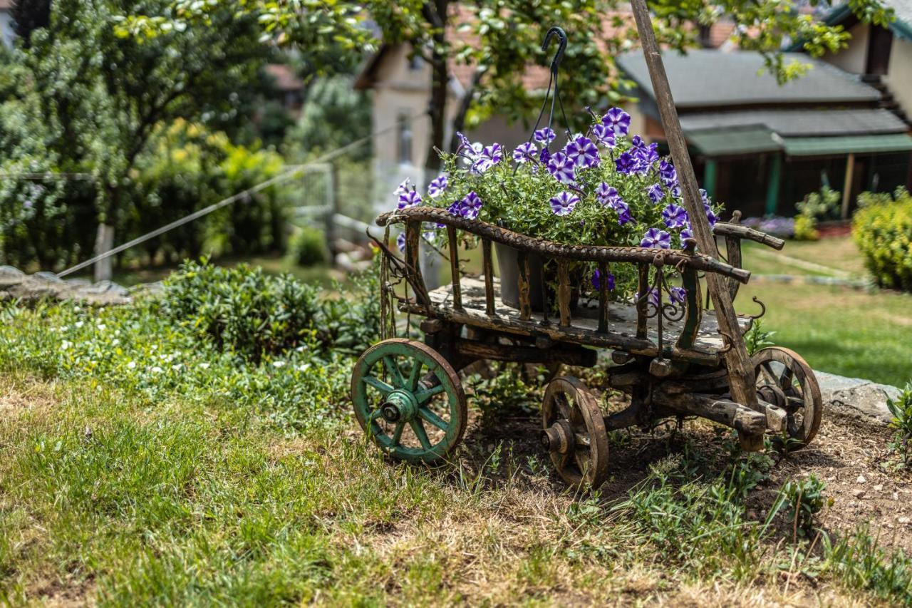 Apartmán Avlija - Historic Gem SJJ Exteriér fotografie